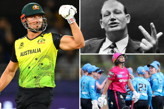 Australian cricket is in fine shape, with the national teams and Big Bash leagues doing well. Why then would it look for private investment?