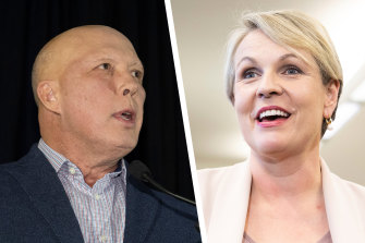 Labor frontbencher Tanya Plibersek apologised after comparing Liberal MP Peter Dutton’s appearance to that of Harry Potter villain Voldemort.