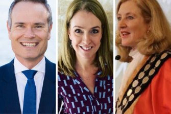 Tim James, Kellie Sloane and Gail Giles-Gidney are shaping up to be the contenders for the Liberal preselection in Willoughby. 