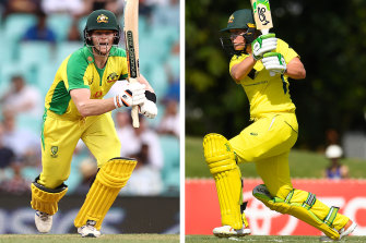 Australian star batters Steve Smith and Alyssa Healy.