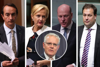 Liberal MPs Dave Sharma, Katie Allen, Trent Zimmerman and Jason Falinski all pushed Prime Minister Scott Morrison to include a net zero emissions by 2050 pledge as part of his climate policy.