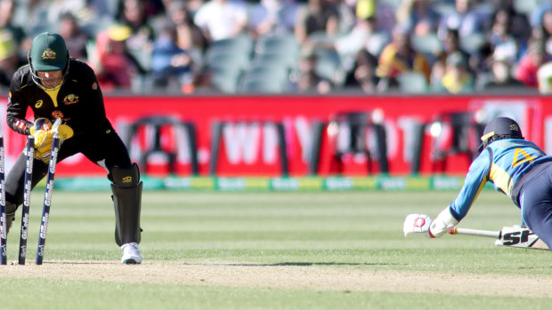 Caught short: Australian keeper Alex Carey whips off the bails to stump Sri Lanka's Waning Hasaranga.