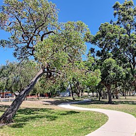 Butterworth Park in Perth’s north.