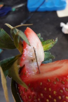 A photo of a contaminated strawberry posted to social media last week. 