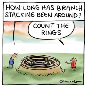 Branch stacking.