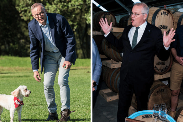 Labor leader Anthony Albanese emerged from lockdown this morning as Prime Minister Scott Morrison campaigned in Tasmania. 