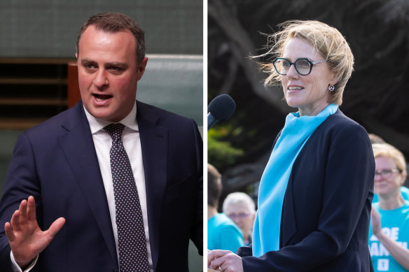 Former Liberal Goldstein MP Tim Wilson, left, and the current independent member Zoe Daniel. 