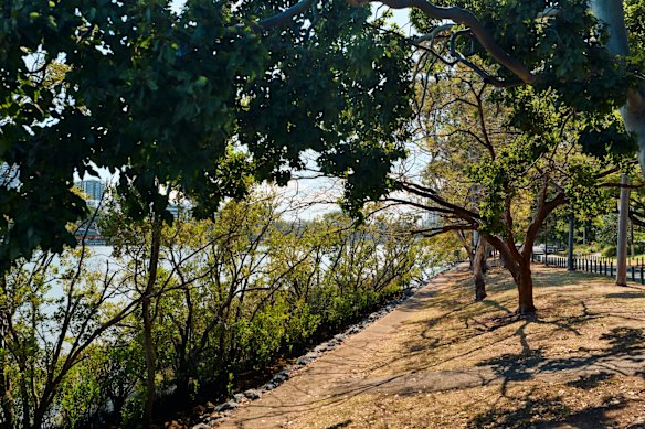 The riverbank at Davies Park.