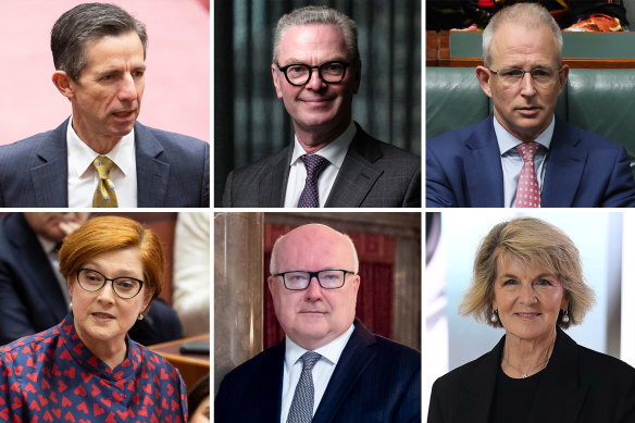 The winner’s circle: Liberal moderates were a powerhouse during the Turnbull government. Clockwise from top left: Simon Birmingham, Christopher Pyne, Paul Fletcher, Julie Bishop, George Brandis and Marise Payne. 
