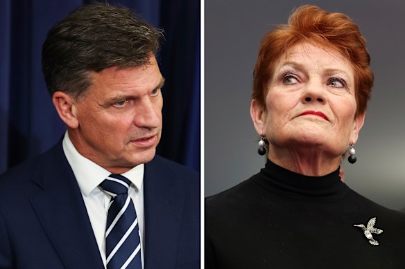 Opposition Leader Angus Taylor and One Nation leader Pauline Hanson.