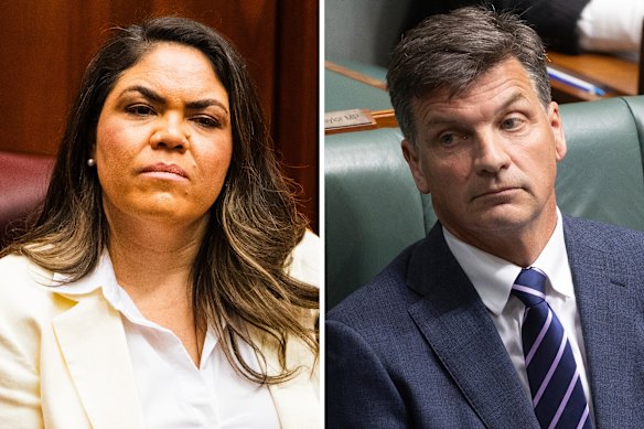 Frustrations: Jacinta Nampijinpa Price and Angus Taylor.