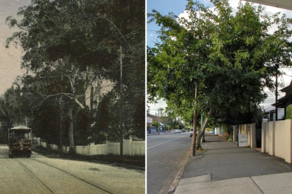 Then and now: Brisbane City Council will vote whether to preserve this tram electricity pole, as well as parts of the Tangalooma whaling station and Moorooka War Workers Housing Estate. 