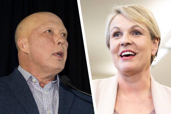 Labor frontbencher Tanya Plibersek apologised after comparing Liberal MP Peter Dutton’s appearance to that of Harry Potter villain Voldemort.