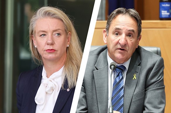Labor senator Glenn Sterle previously apologised for calling Nationals senator Bridget McKenzie a “naughty little girl” during an estimates hearing in 2022.
