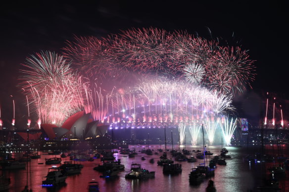 The 2019 New Year’s Eve fireworks were uniquely described by an audio describer.