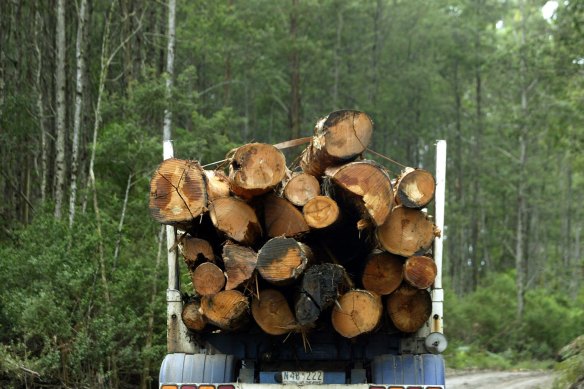 Old growth logging is being phased out.