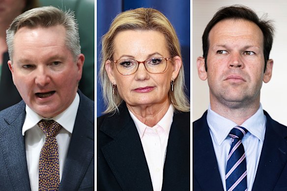 At odds: Energy and Climate Change Minister Chris Bowen, Liberal leader Sussan Ley and Nationals senator Matt Canavan.
