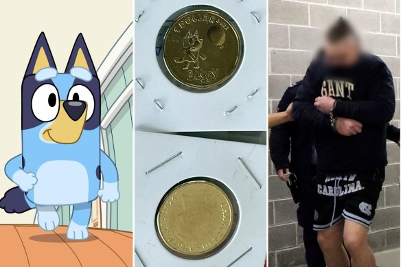 The cartoon character Bluey, some of the seized coins, and the man arrested by NSW Police.