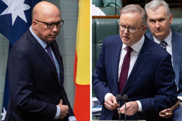 Opposition Leader Peter Dutton and Prime Minister Anthony Albanese during question time on Tuesday.