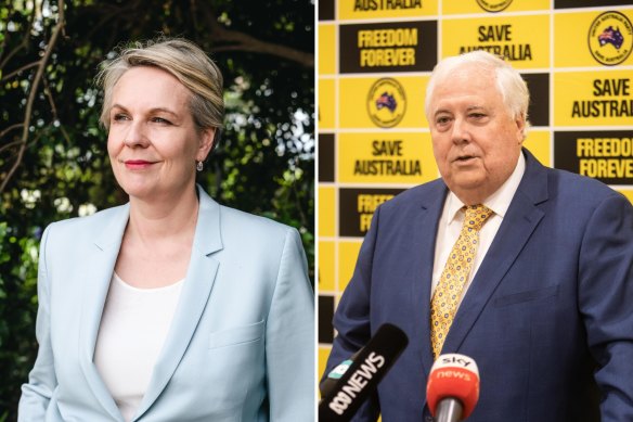 Federal Environment Minister Tanya Plibersek has rejected a coal mine proposed by businessman Clive Palmer.