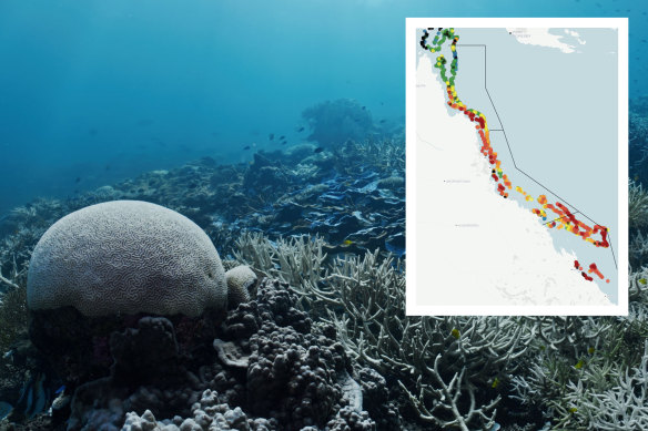 A map compiled in April showing the extent of Great Barrier Reef coral bleaching.