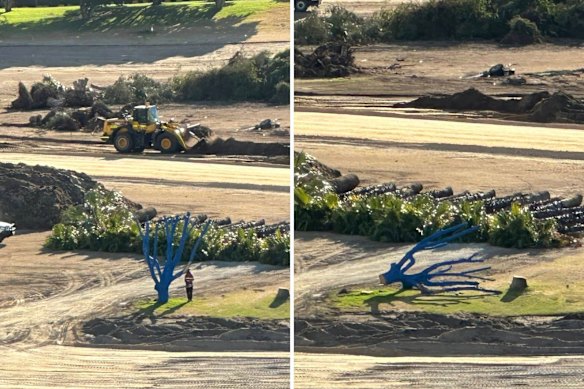 The blue tree was cut down late last week.