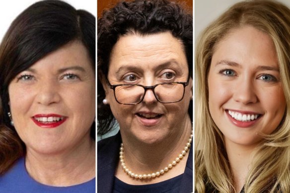 Battle for Kooyong: Surgeon Susan Morris, teal independent Monique Ryan and Amelia Hamer.