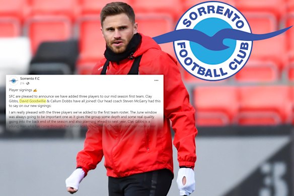 David Goodwillie: Suburban Perth soccer club in damage control after ...