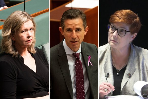Leading Liberal Party moderates Bridget Archer, Simon Birmingham and Marise Payne are yet to form an effective alliance within the opposition party room.