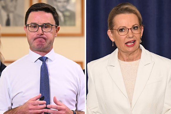 Nationals leader David Littleproud and Liberal Party leader Sussan Ley.