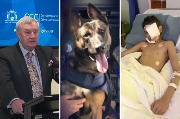WA CCC boss John McKechnie claims the broader policy that allows police to unleash dogs on children is racist.
