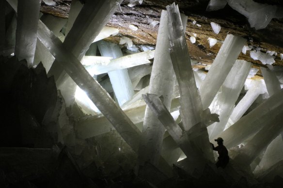 Giant crystals up to 11 metres tall have been discovered in Mexico’s Naica cave, which sits above an underground magma chamber. 