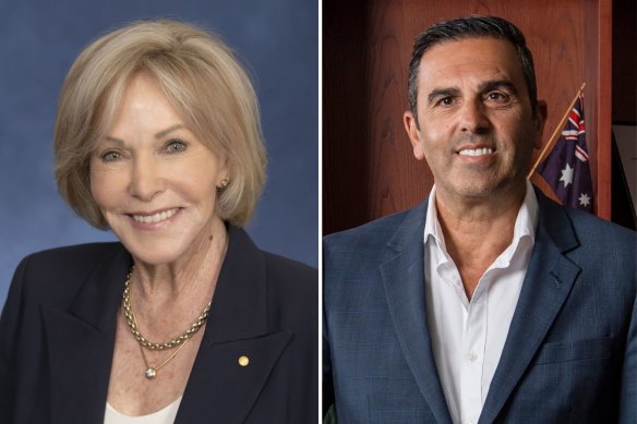 Sutherland Shire councillors Carol Provan, left, and former mayor Carmelo Pesce, right.