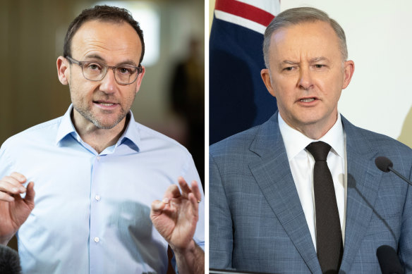 Greens leader Adam Bandt (left) declared last week he was open to a deal with Prime Minister Anthony Albanese on the issue but members of the party room have attacked the government’s target as too weak.
