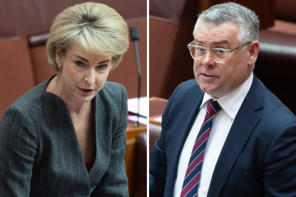 Opposition workplace spokeswoman Michaelia Cash and Workplace Minister Murray Watt.