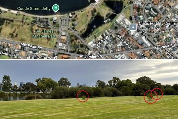 Above: Jubilee Street, Lake Douglas and the riverfront. Below: view of the trees from the footpath in front of Jubilee Street, looking towards the lake. 