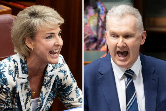 Opposition industrial relations spokeswoman Michaelia Cash and Workplace Relations Minister Tony Burke.
