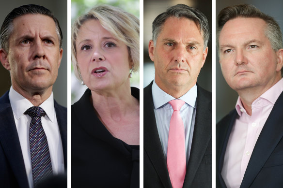Mark Butler, Kristina Keneally, Richard Marles and Chris Bowen all have new responsibilities after the Labor reshuffle.