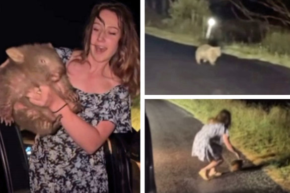 Hunting influencer and biologist Sam Jones allegedly removed a wombat joey from its mother.