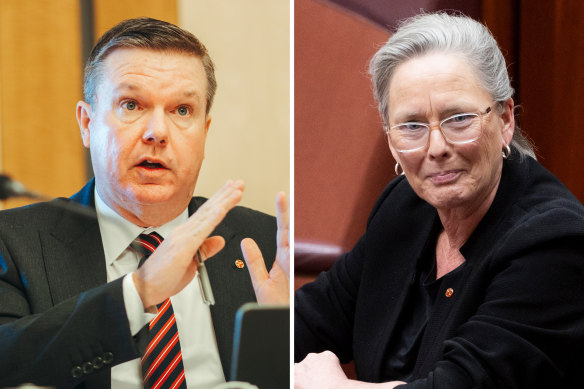 Nationals senator Ross Cadell and Labor senator Karen Grogan.