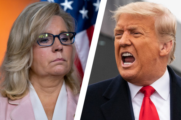 Republican Liz Cheney and Donald Trump.