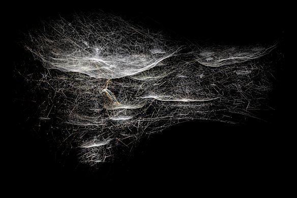 Saraceno’s Webs of At-tent(s)ion, installation at MONA in 2022.
