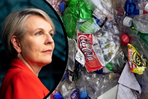 Environment Minister Tanya Plibersek wants a global treaty to cut plastic pollution. 