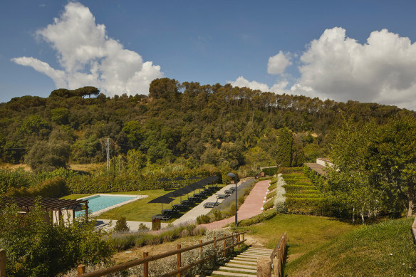 The eco resort and its forest.