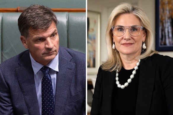 Liberal senator Hollie Hughes has slammed Angus Taylor as a shadow treasurer.