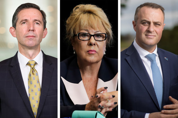 Senator Simon Birmingham, Liberal Party’s NSW vice president Teena McQueen and former Liberal MP Tim Wilson.