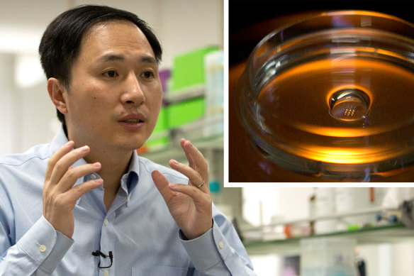 He Jiankui claims he helped make the world's first genetically edited babies: twin girls whose DNA he said he altered.