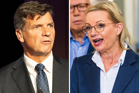 Liberal Party leadership candidates Angus Taylor and Sussan Ley.