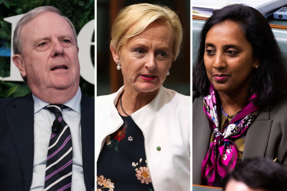 Former treasurer Peter Costello held the seat of Higgins from 1990 to 2009. The Liberal Party held the seat until Katie Allen lost to Labor’s Michelle Ananda-Rajah in 2022.