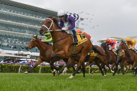 Nudge scores at Flemington during the 2019 Melbourne Cup carnival.